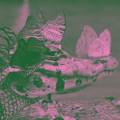 HyaenidaeSmile's profile picture. ENTJ 𓁛 💚 All green characters are the toughest one 💚 Ravenclaw ♊ mostly tweet my anger • ⚠️ STOP ANIMAL ABUSE ⚠️