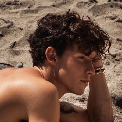 ☆ when you fall asleep tonight just remember that we lay under the same stars ☆ team sab ☆ x1 ed hqx3 ☆ ds hq x2 ☆ shawn access x2 ☆