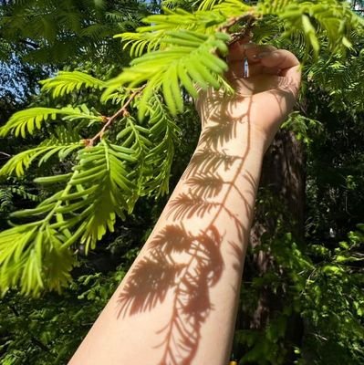 Sonusehra73's profile picture. Student