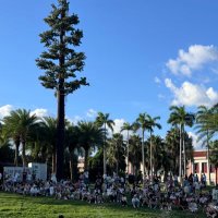 叫主人 (@nidie0506) 's Twitter Profile Photo