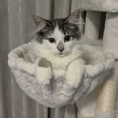 mirurun54283949's profile picture. 【好き】
DIY❤️ネイル❤️ゲーム♥B'z♥
ただいま専業主婦！旦那様ラブ❤
家庭菜園にチャレンジちゅー(・∀・)✨
ベランダにてちまちまと初心者ながらに奮闘中😅