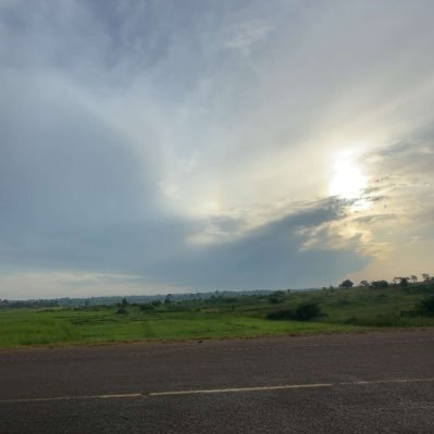 PhillipaMwebaze's profile picture. politically affiliated