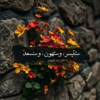 Omnia Salah (@omniasalah56601) Twitter profile photo