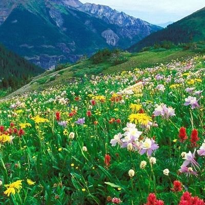 WTFF021's profile picture. ❤️‍🩹❣️