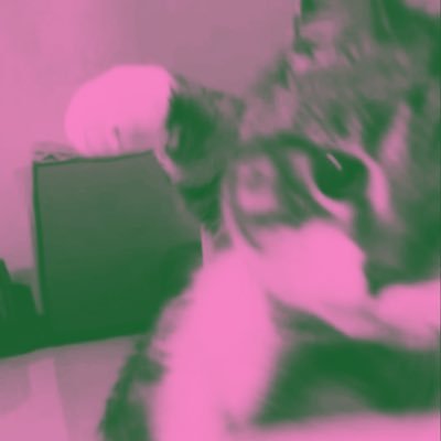 chiktsiya's profile picture. 