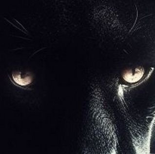 brown_alph47287's profile picture. 