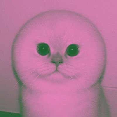 linocriminal's profile picture. soonie, doongie, dori, sapi dan asep.