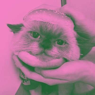 dewwisrr's profile picture. Study | 03l