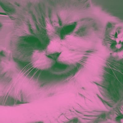 cionnamon_'s profile picture. managed by cio