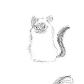 wl_4o's profile picture. 🐶が好き　最近📺が暑い