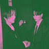 sagiitsme's profile picture. ISFJ#Melankolis Sempurna#HakunaMatata#yesung🐢🐱☁️hyuk🍓🐰💎 || elf👼🍒🔍🐠🐴🦒🐧 ot 13+2|| #FG#SAMBAT