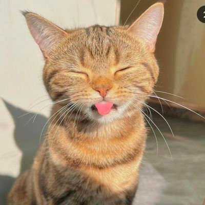More comfortable talking to AIs than humans... and it shows
https://t.co/ncCHWZywb1