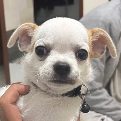 NMocinn33815's profile picture. viciiii - tambal jam 24 ban