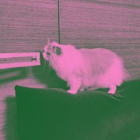 han (REST) โ๏ฝกห๐ผ โ๏ฝกห (@_noneknowme) 's Twitter Profile
