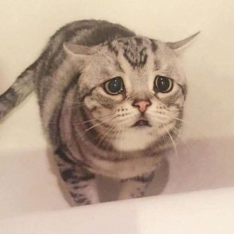 jupiter_22_'s profile picture. 다장르