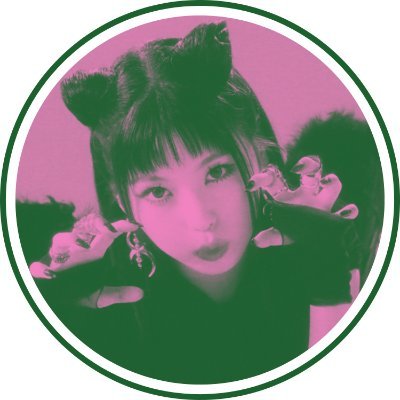 fictions enthusiast, endori player, kpop casual listener | eng/ina