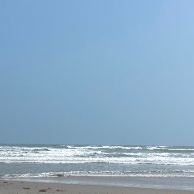 StonedChemist21's profile picture. 