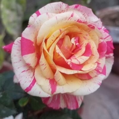 Abubaka68422120's profile picture. 