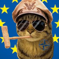 FortIS 🇪🇺 (@fortis_55) 's Twitter Profile Photo
