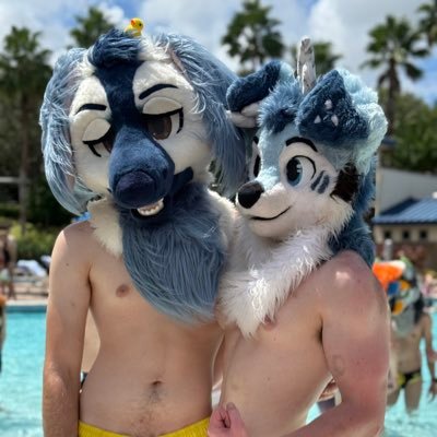 PeenorStroker's profile picture. 18+ | 🪡: Lemonbrat | Afghan Hound | Aerospace Fanatic
