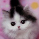 violet willard - @WillardViolet - Twitter