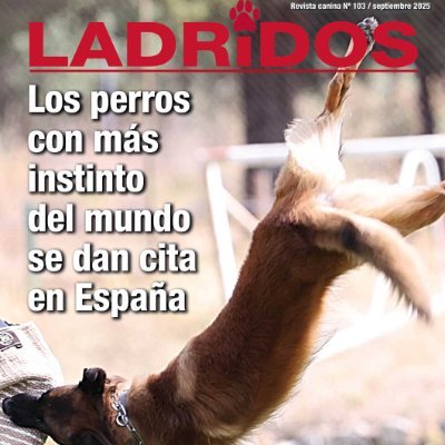 Revista canina para promover la tenencia responsable de perros. RT y HT no significan necesariamente acuerdo. info@ladridos.es