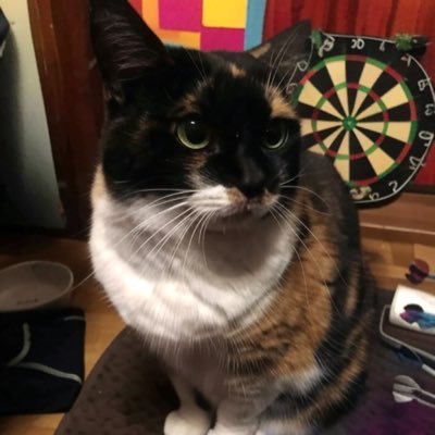 2024/11〜🎯ダーツにハマった競馬好きがどのくらいのレベルかあまり意味のわかっていないAフライトという目標を立てたことで発生したアカウント 夢中になれることがあるって楽しいね