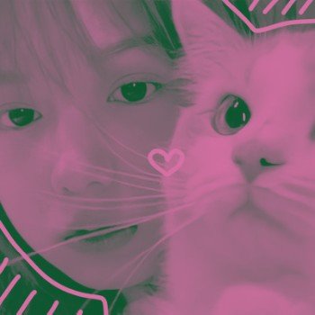 just a girl want to meow meow