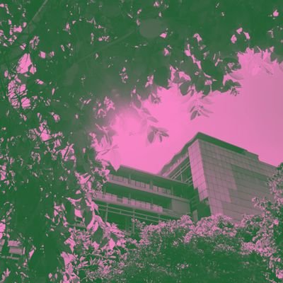 orendalula's profile picture. hi there!  ₍^. .^₎Ⳋ | Learning Digital Marketing | 💌 this is my personal digital learning diaries