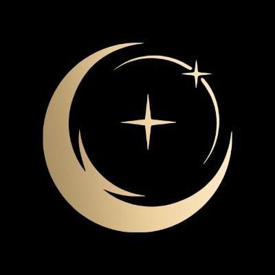 There are more ways to make money than just business and finance. STELLAR ✦ FORTUNE gives you the opportunity to find your own way to wealth!🇨🇳🇵🇰
