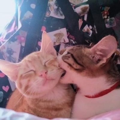 dedyffff's profile picture. aku siapa?