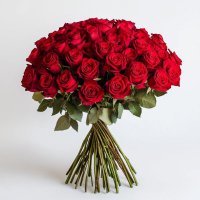 chenthil kumar (@chenthilku49476) 's Twitter Profile
