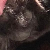 linux15_'s profile picture. 