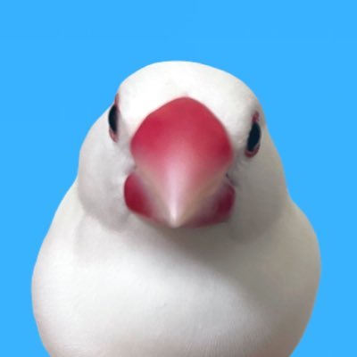 ねんざちゃんさんのプロフィール画像