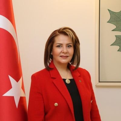 MeryemTurktekin's profile picture. İnsanın insana yaptığı zulmü başka hiçbir varlık yapmadı/Hukukçu/GELECEK PARTİSİ Genel Başkan Yardımcısı/Türk Kadınlar Konseyi Der. Bşk.