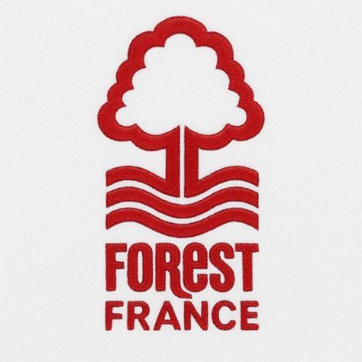 Page Française 🇫🇷 d'un des clubs les plus historiques d'Angleterre 🏴 Nottingham Forest #NFFC 🔴⚪