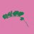 dianasayangku's profile image