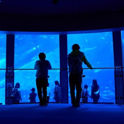 hippopotamus_co's profile picture. 