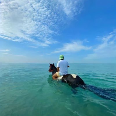 0755ab's profile picture. 区块链