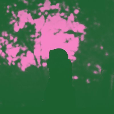 amyさんのプロフィール画像
