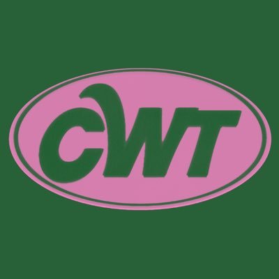 cwtalk__'s profile picture. bintaro based midwest emo (ノ_＜)