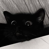 dd (@mdreldve) 's Twitter Profile