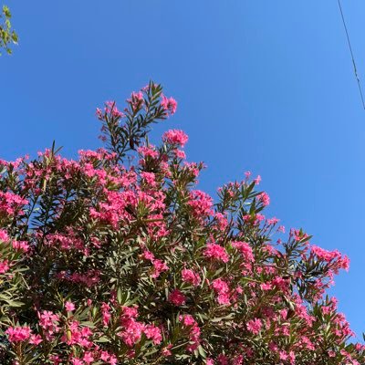 dunyayolculuguu's profile picture. Ayağın taşa takılsa kalbini yokla... Öğretmen-Sosyolog 🖋 ~Şiir sever