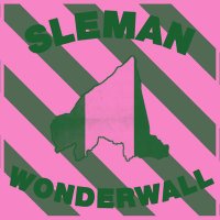 Sleman Wonderwall (@slmnwonderwall) 's Twitter Profile Photo