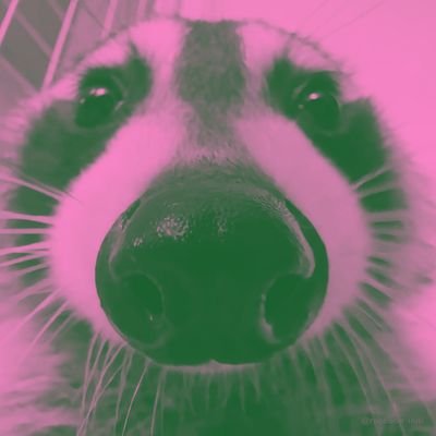 knownasaan's profile picture. Informatics Technology & Digital Multimedia’ 25