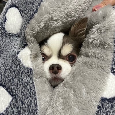 カリカリ梅さんのプロフィール画像