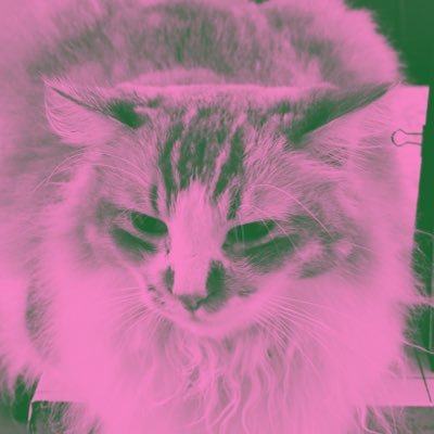 adicechiel10's profile picture. Randomly talking