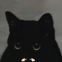 626 (@_akidult) 's Twitter Profile