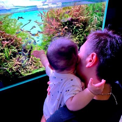 アクアリウム好きな方はフォローよろしくお願いします✨同じ趣味の方ならフォロバ致します(鍵垢・裏垢・海外・エロ垢NG)現在90×45×45の水槽を1本管理しています!よろしくお願いします🌱🐠 2025.3.6第一子誕生✨