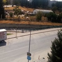 Jardel (@jardel2226) Twitter profile photo